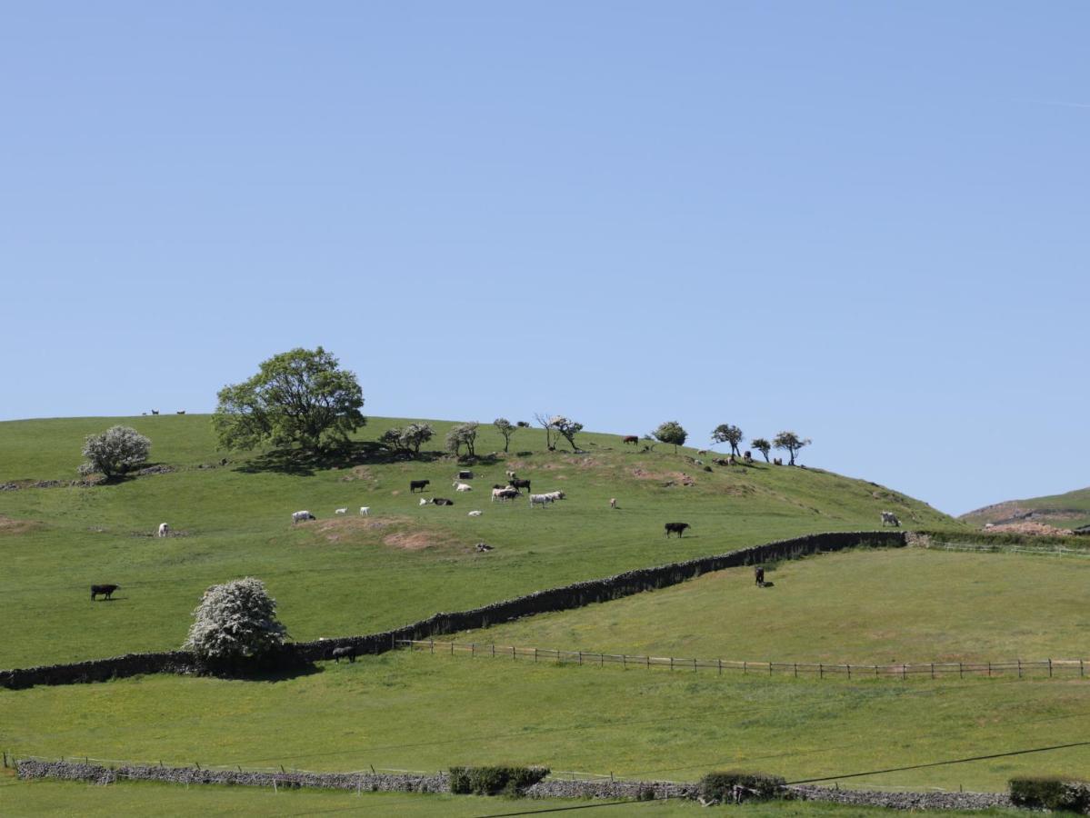Holly Villa Ulverston Dış mekan fotoğraf