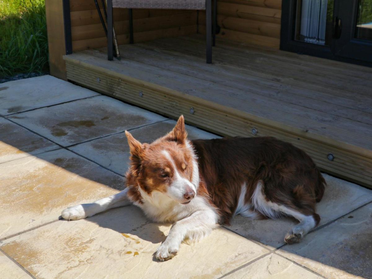 Holly Villa Ulverston Dış mekan fotoğraf