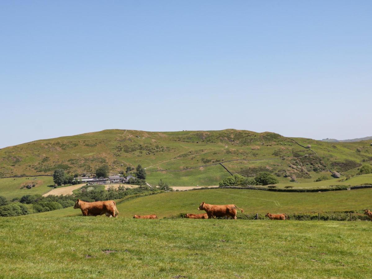 Holly Villa Ulverston Dış mekan fotoğraf